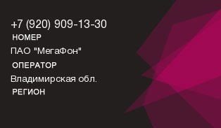 9209091330